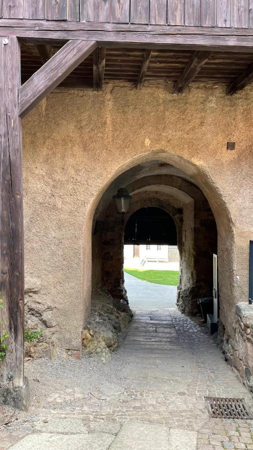 "Glueck Auf" Lichtdurchflutete Schicke Ferienwohnung In Zwickau Dış mekan fotoğraf